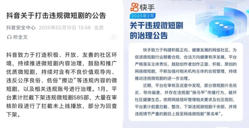 麦沁芙动漫：从新手到高手的成长之路