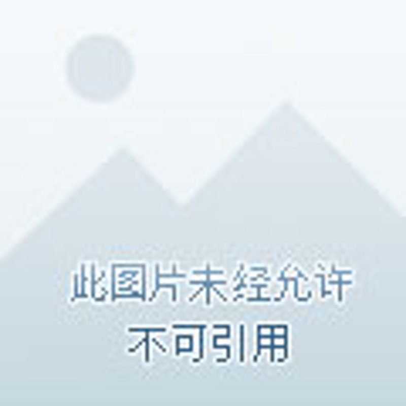 短剧发行